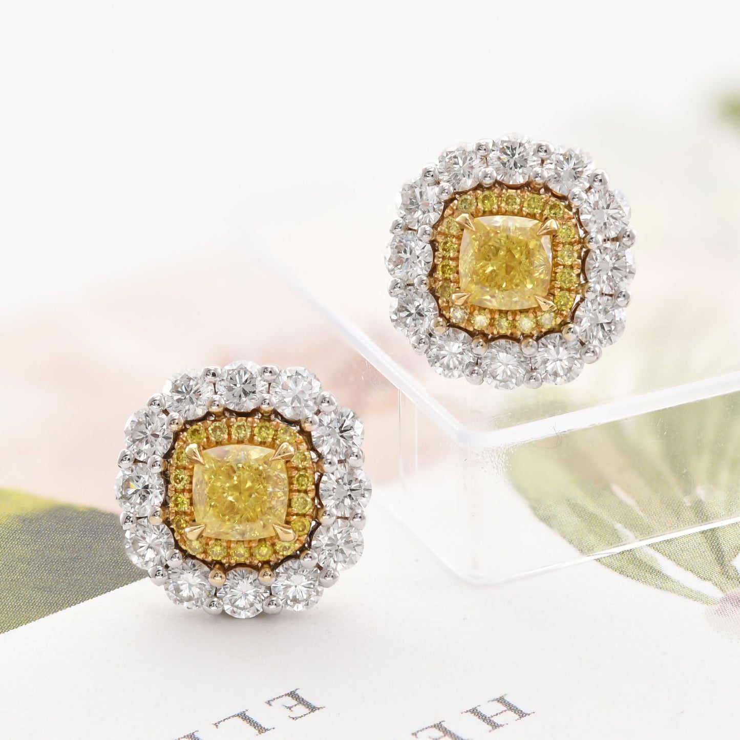 Ausgefallene, intensiv gelbe Kissen-Diamanten-Ohrringe mit doppeltem Halo