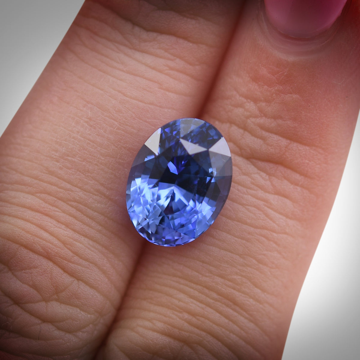 Ovaler Saphir | 7,57 ct | Blau | CD | Ref. 723917