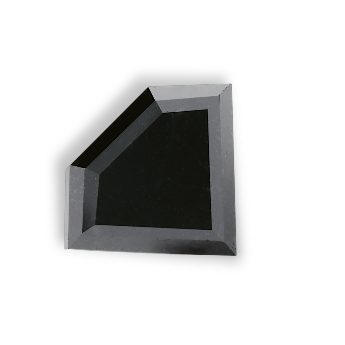 Schilddiamant | 2,42 ct | Fancy Black | GIA | Ref. S893525