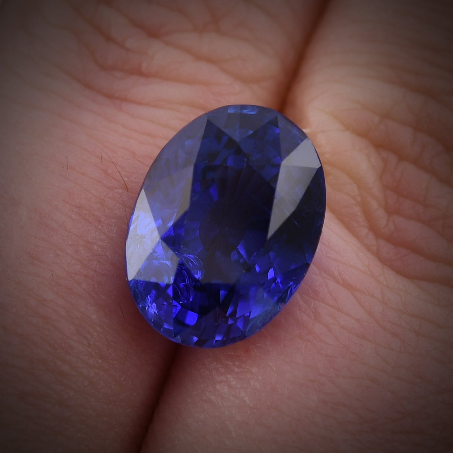 12,54 Karat blauer ovaler Saphir aus Sri Lanka, GIA