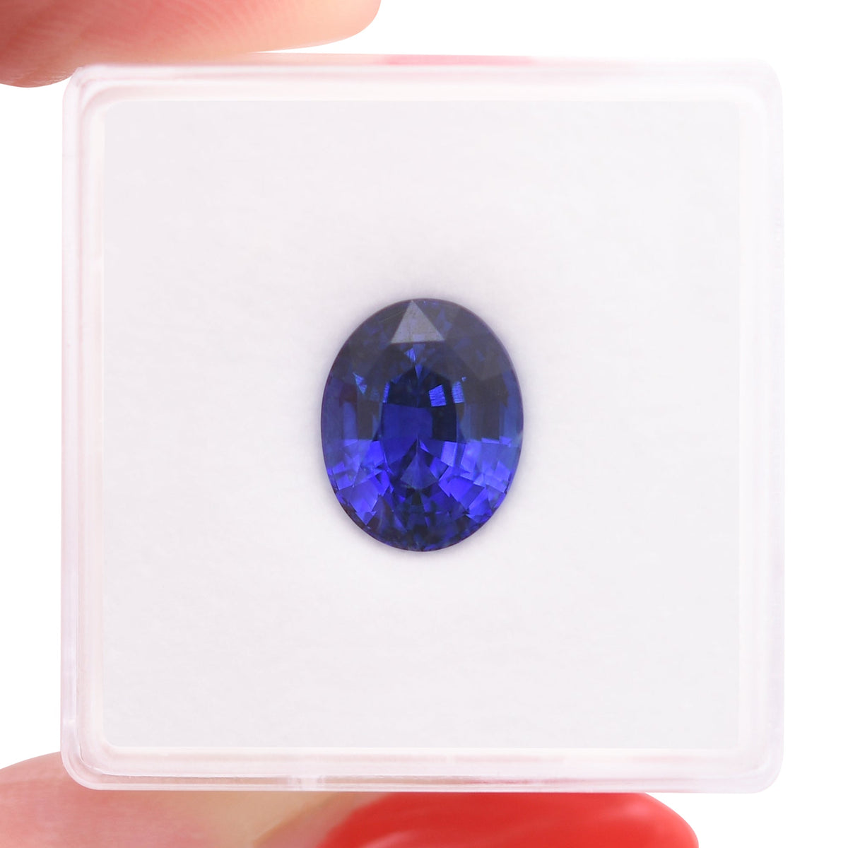 Ovaler Saphir | 3,52 ct | Blau | CD | Ref. 719432