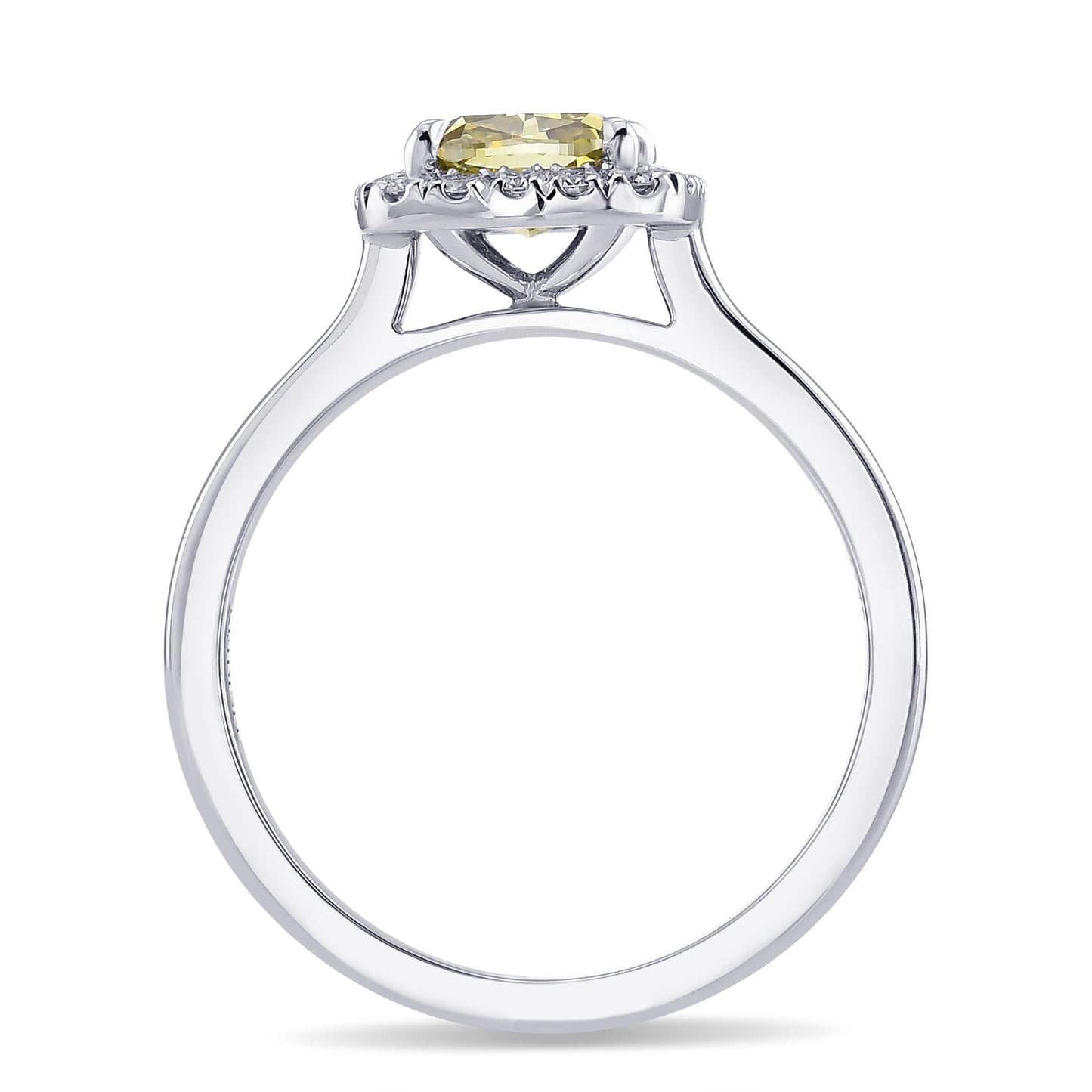 Chamäleon-Kissen-Diamant-Halo-Ring