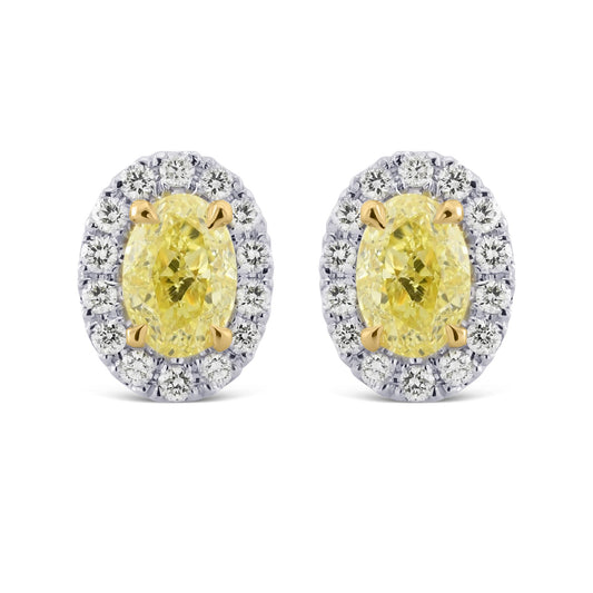 Ausgefallene gelbe ovale Halo-Diamantohrringe