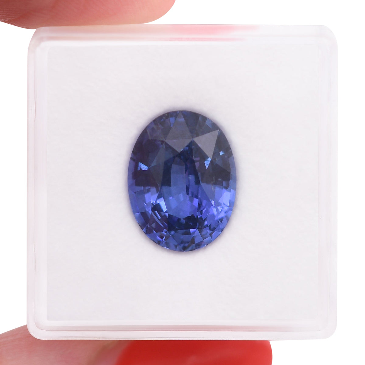 Oval Sapphire | 7.58 ct | Blue | CD | Ref 719411
