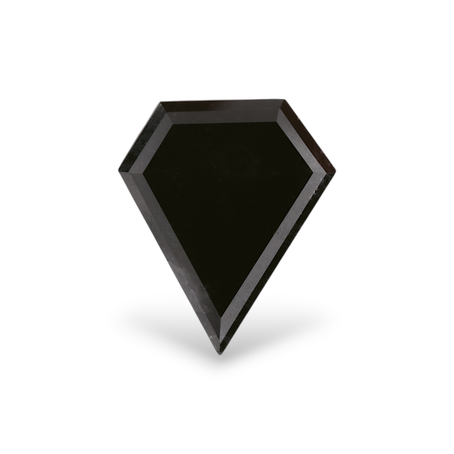 1,27 Karat Natürlicher Schwarzer Schild-Diamant GIA