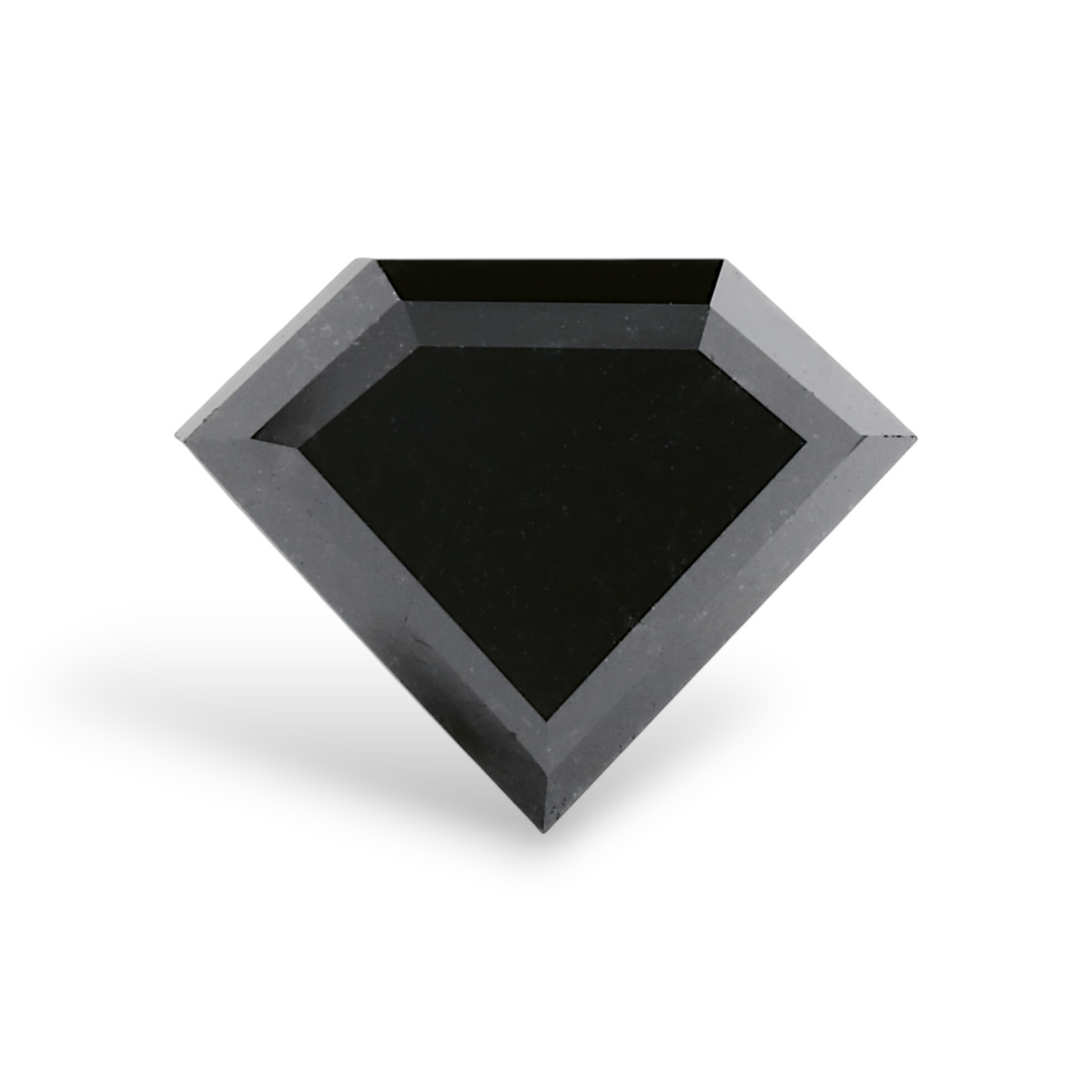 Schilddiamant | 2,42 ct | Fancy Black | GIA | Ref. S893525