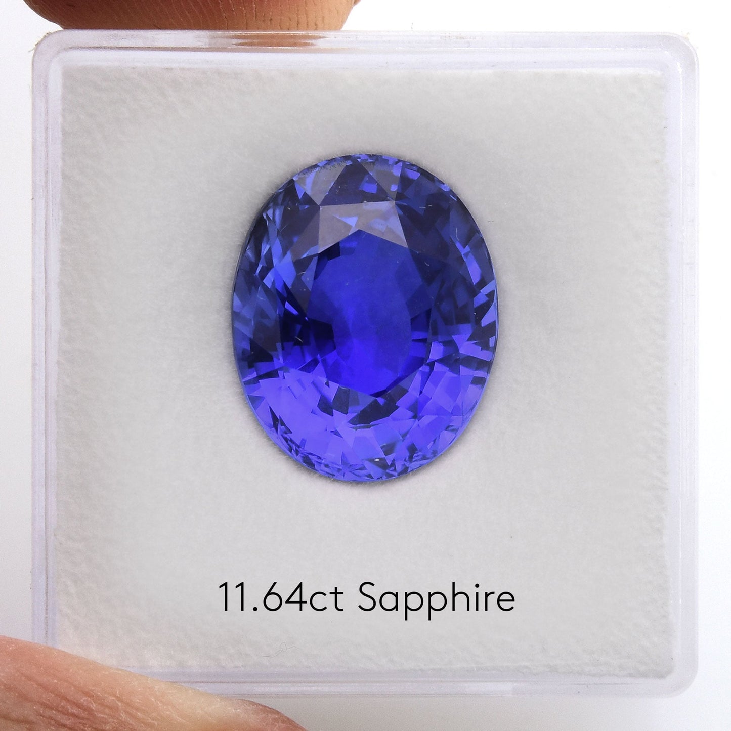 11,64 Karat blauer ovaler Saphir aus Sri Lanka (AGL)