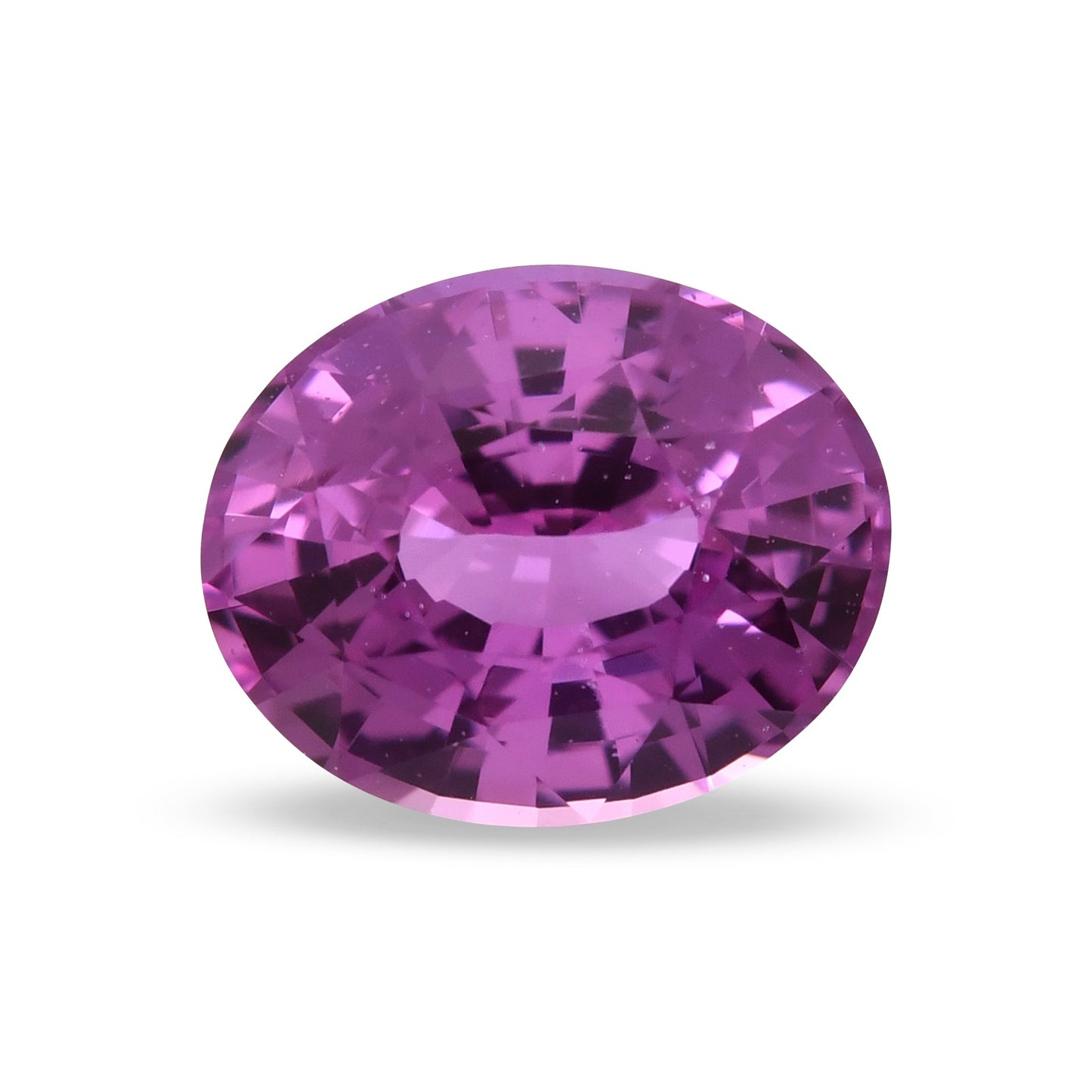 1,51 Karat rosa ovaler Saphir