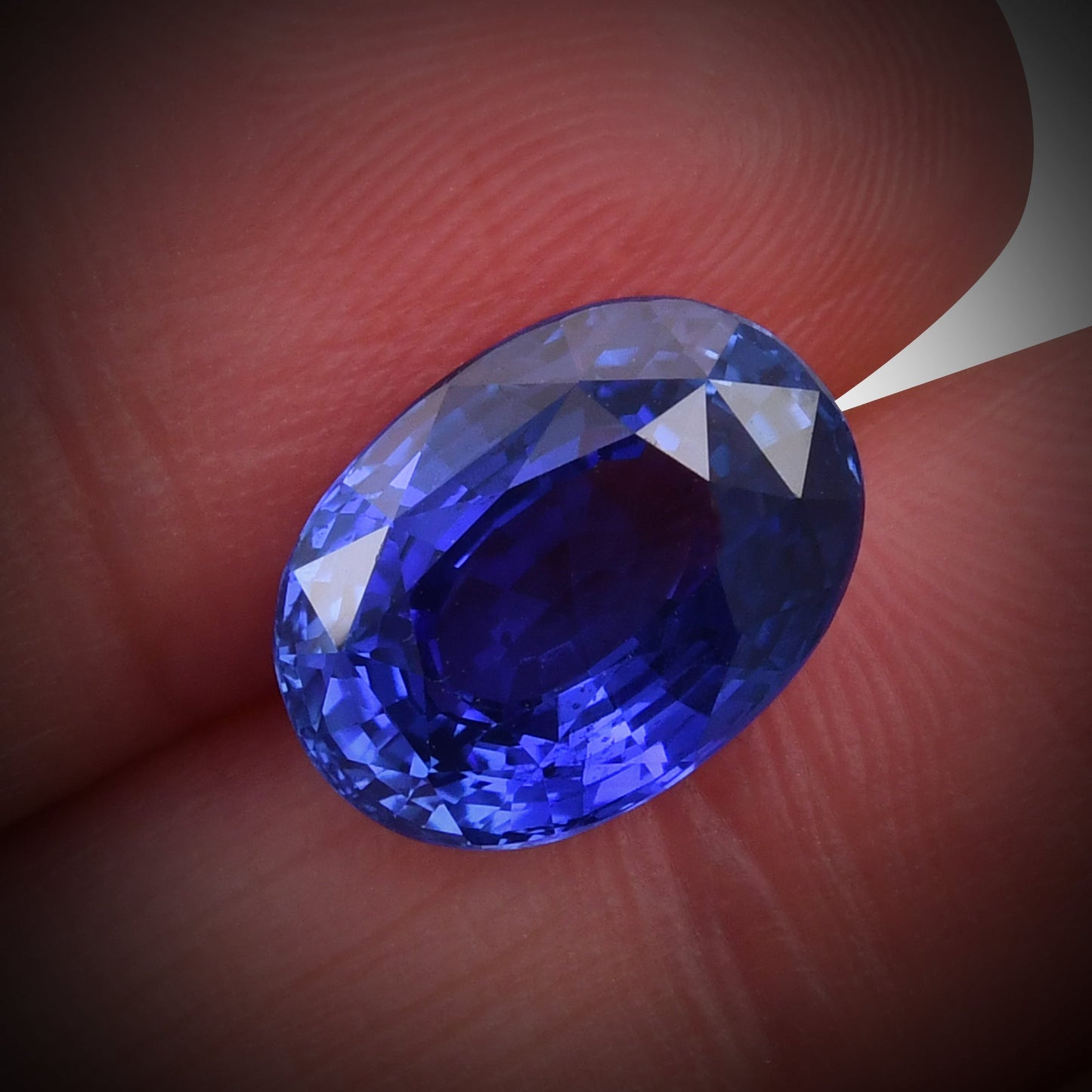 6,58 Karat blauer ovaler Saphir aus Sri Lanka (AGL)