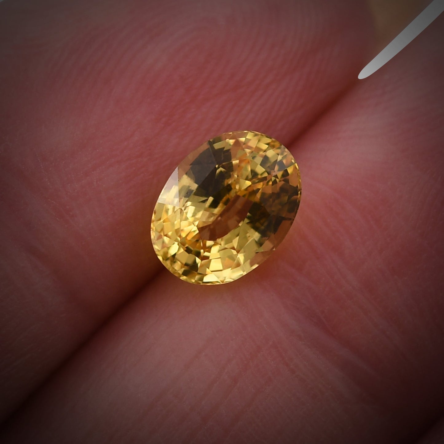 1.67 Carat Yellow SRI LANKAN Oval Sapphire