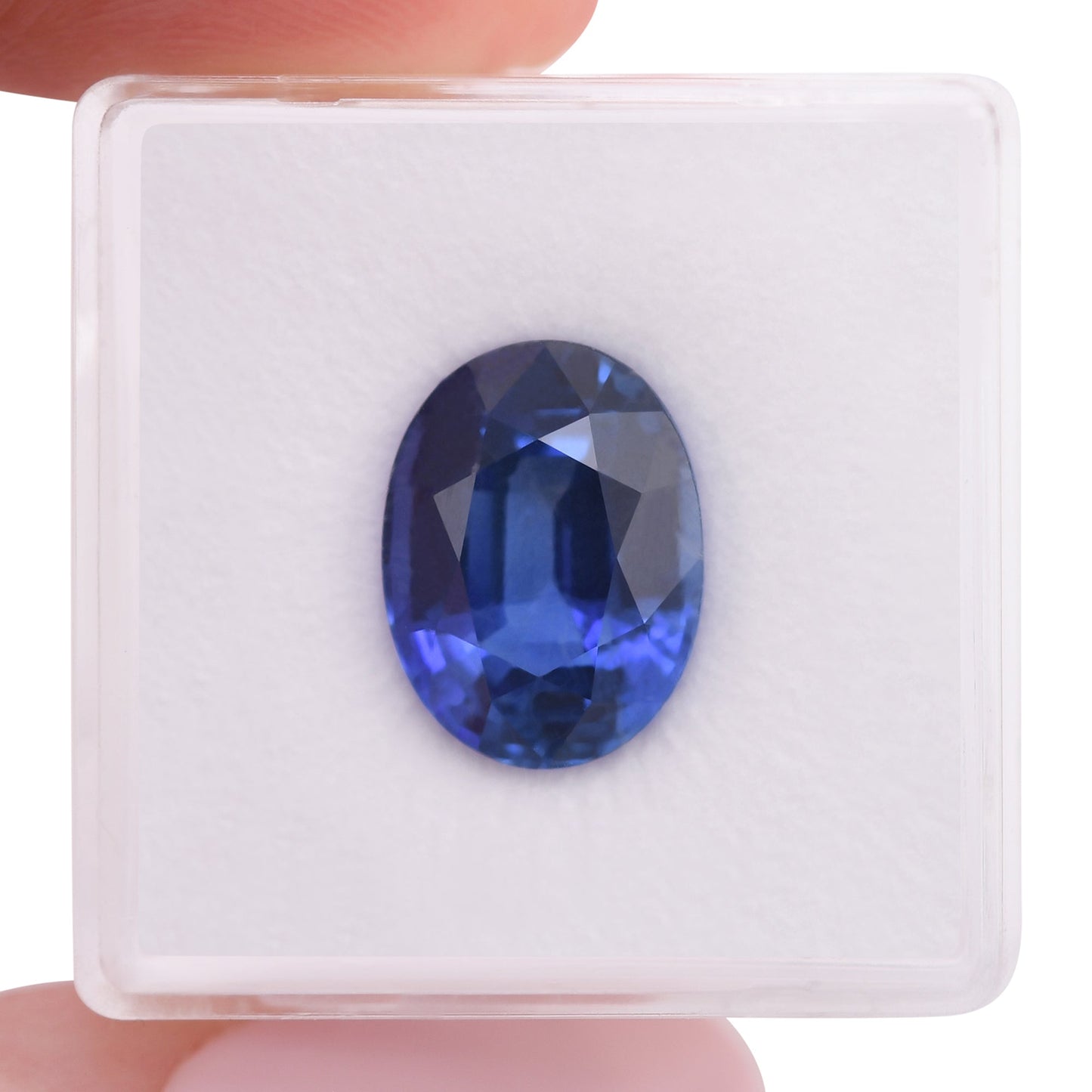 8,15 Karat blauer ovaler Saphir aus Sri Lanka (CD)